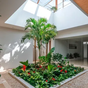 Tranquil Oasis In Your Living Room