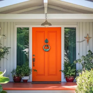 Bold Color Door With Vintage Knocker