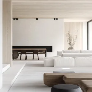 Neutral Color Palette With Accent Walls