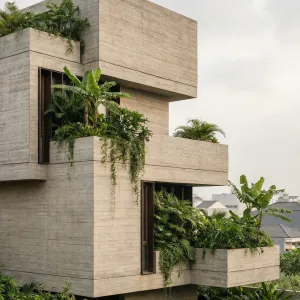 Tropical Canopy Stacked Habitat